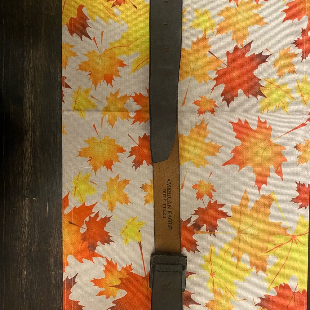 AMERICAN EAGLE BELT - Picture 3 of 3